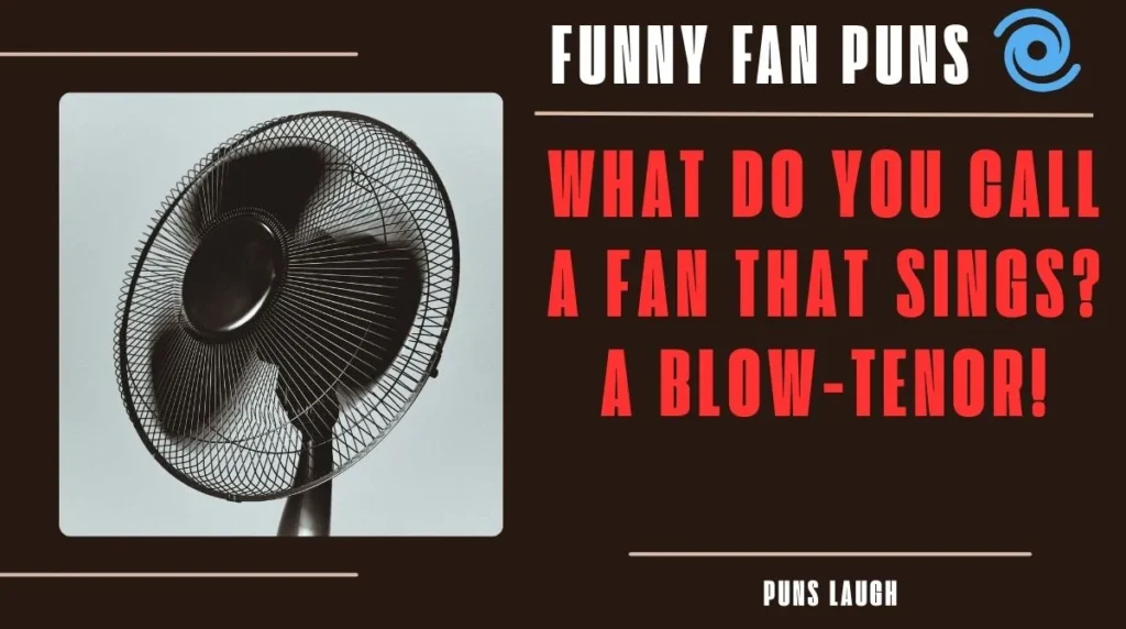 Best Fan-Themed Wordplay Jokes