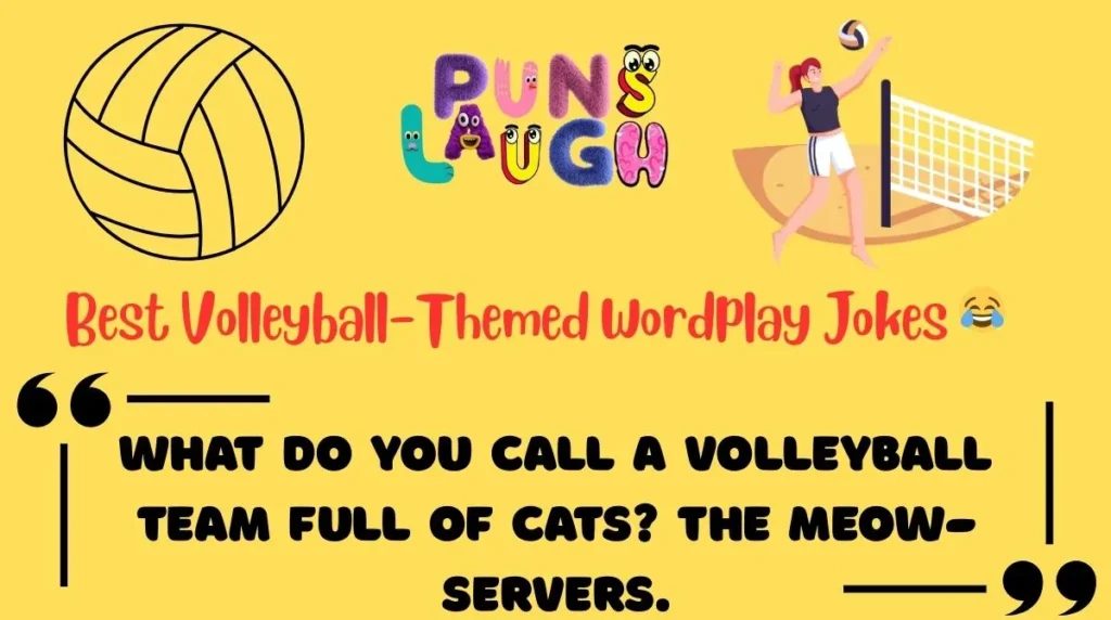 Best Volleyball-Themed Wordplay Jokes