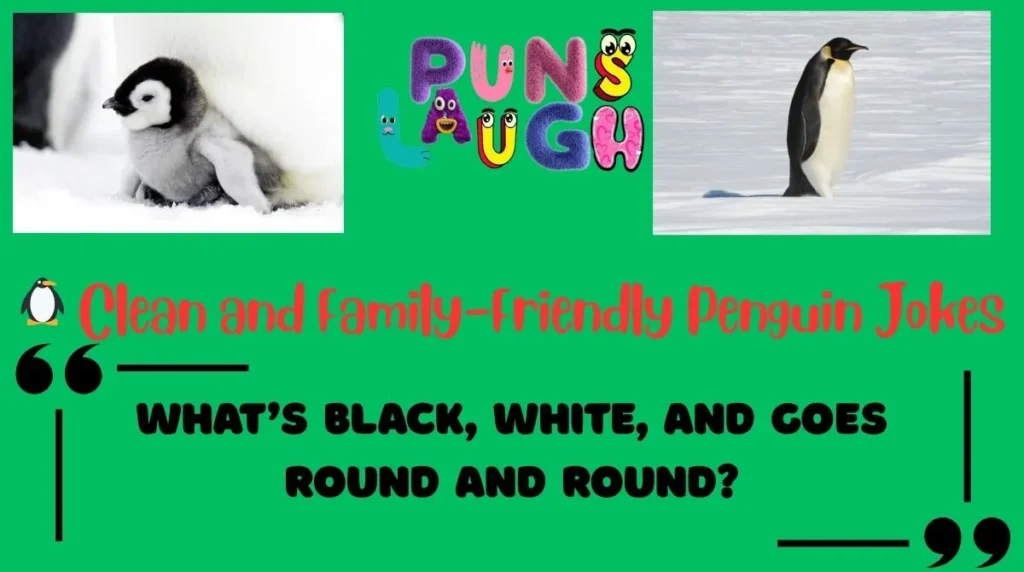 Clean and Family-Friendly Penguin Jokes