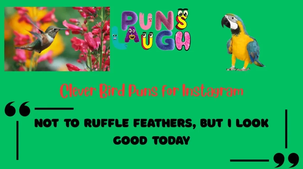 Clever Bird Puns for Instagram