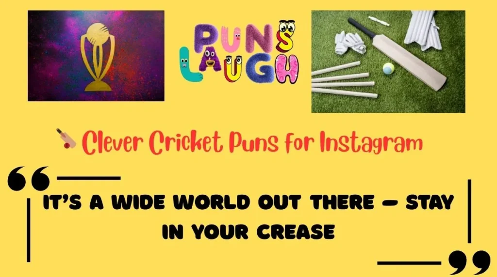  Clever Cricket Puns for Instagram