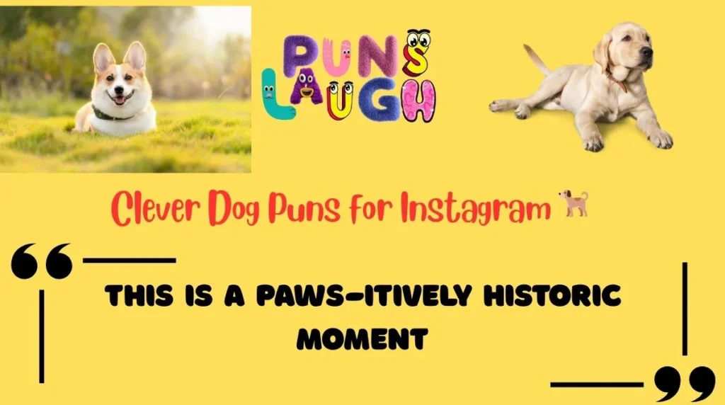 Clever Dog Puns for Instagram
