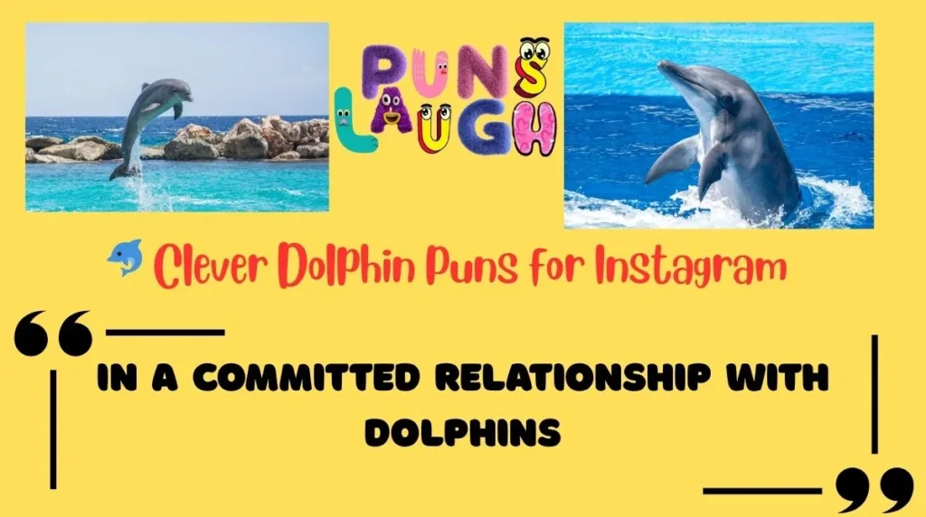 Clever Dolphin Puns for Instagram