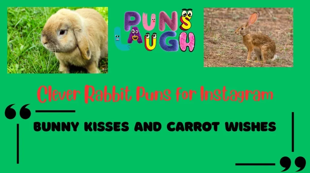 Clever Rabbit Puns for Instagram
