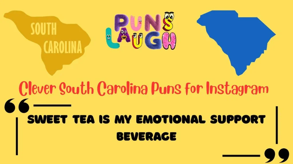 Clever South Carolina Puns for Instagram