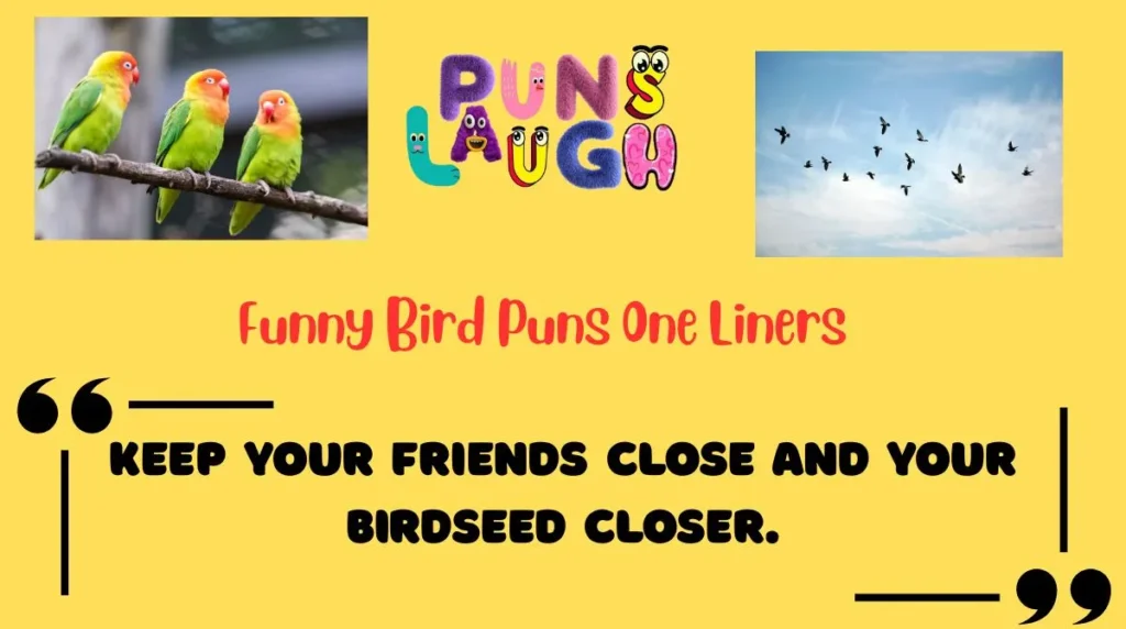 Funny Bird Puns One Liners