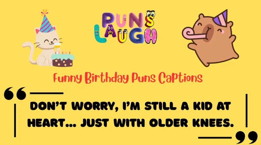 Funny Birthday Puns Captions