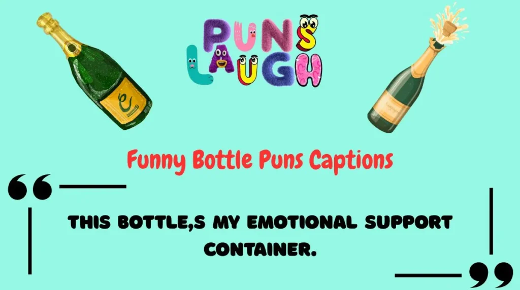 Funny Bottle Puns Captions