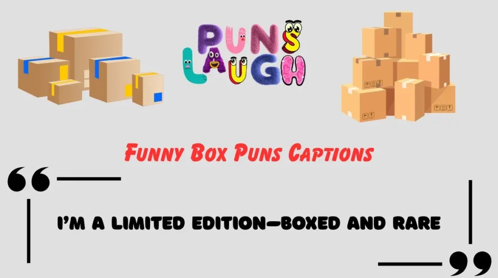 Funny Box Puns Captions