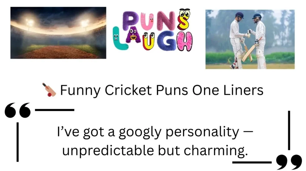  Funny Cricket Puns One Liners
