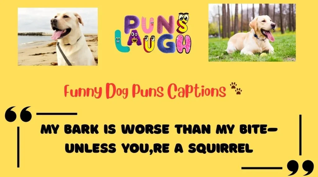 Funny Dog Puns Captions