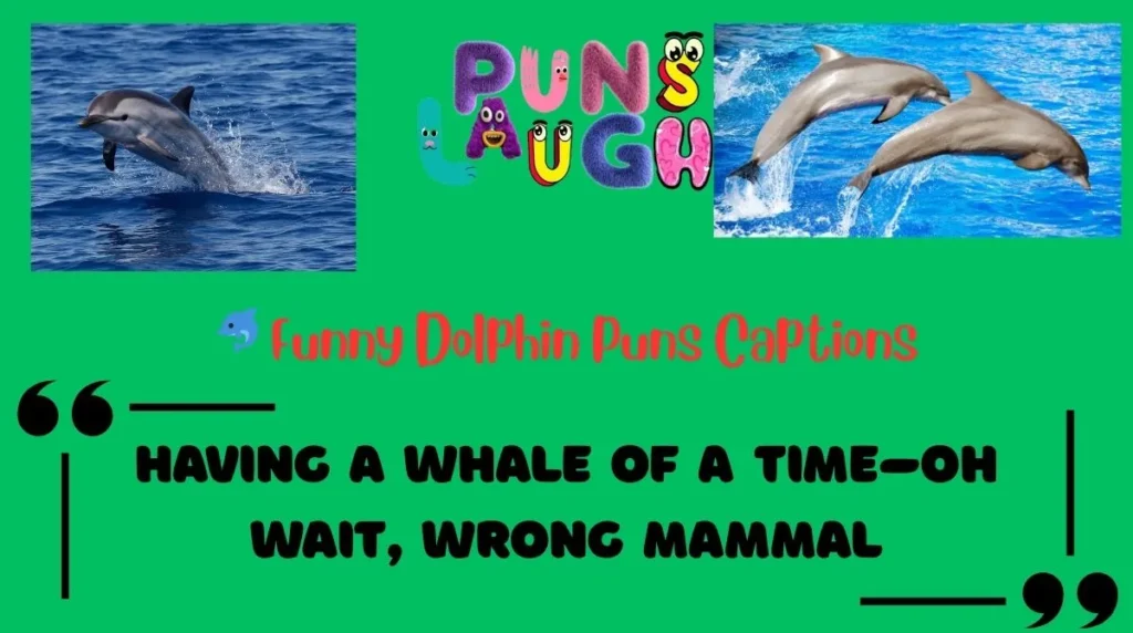 Funny Dolphin Puns Captions