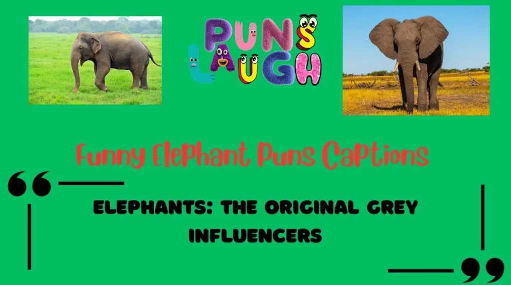 Funny Elephant Puns Captions