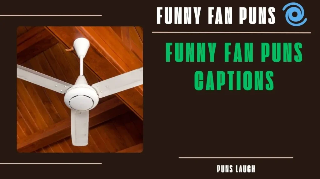 Funny Fan Puns Captions