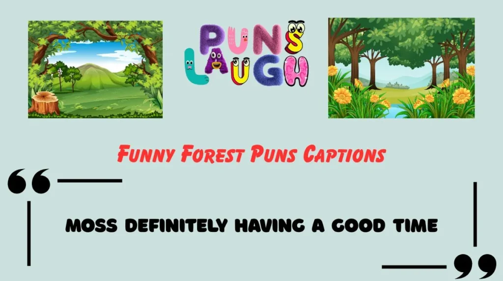 Funny Forest Puns Captions