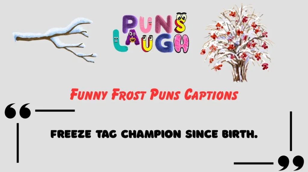Funny Frost Puns Captions