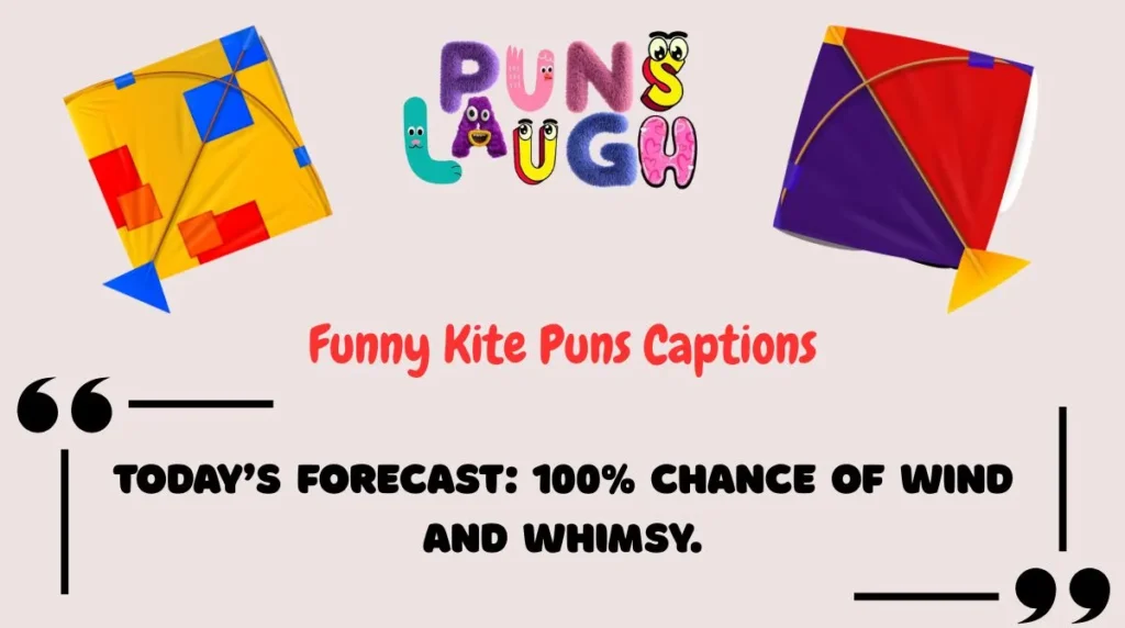 Funny Kite Puns Captions