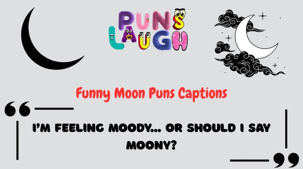 Funny Moon Puns Captions