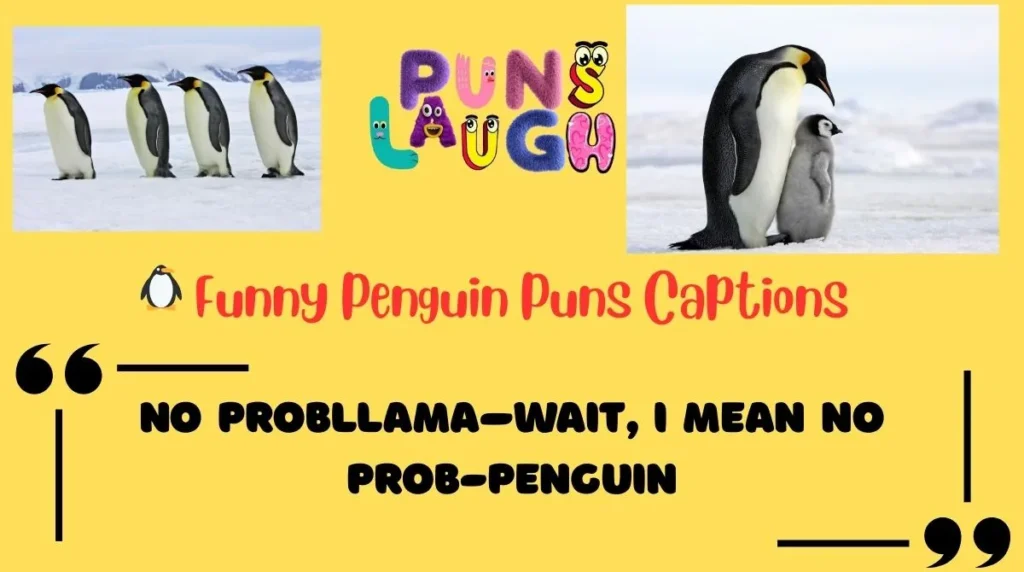 Funny Penguin Puns Captions
