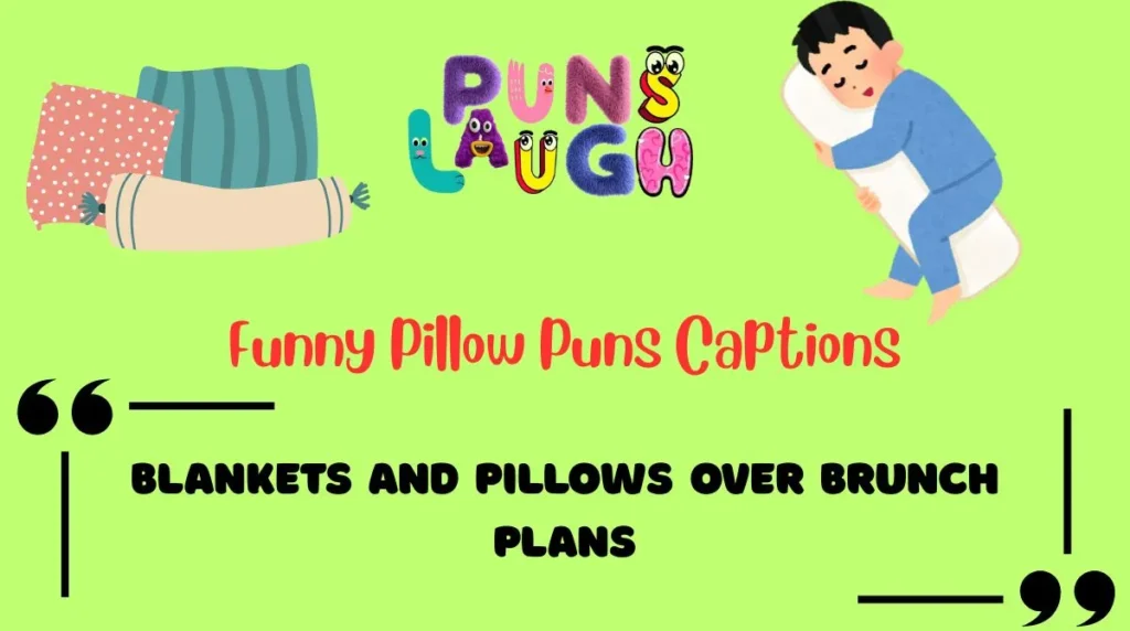 Funny Pillow Puns Captions