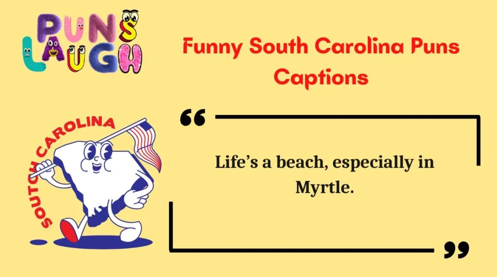 Funny South Carolina Puns Captions