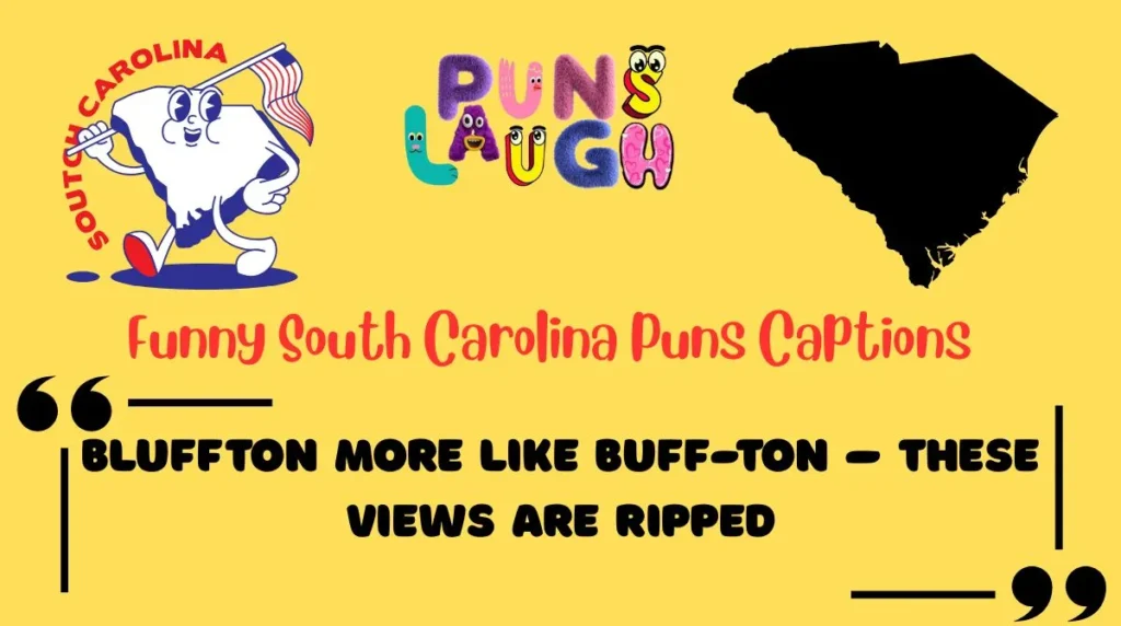 Funny South Carolina Puns Captions