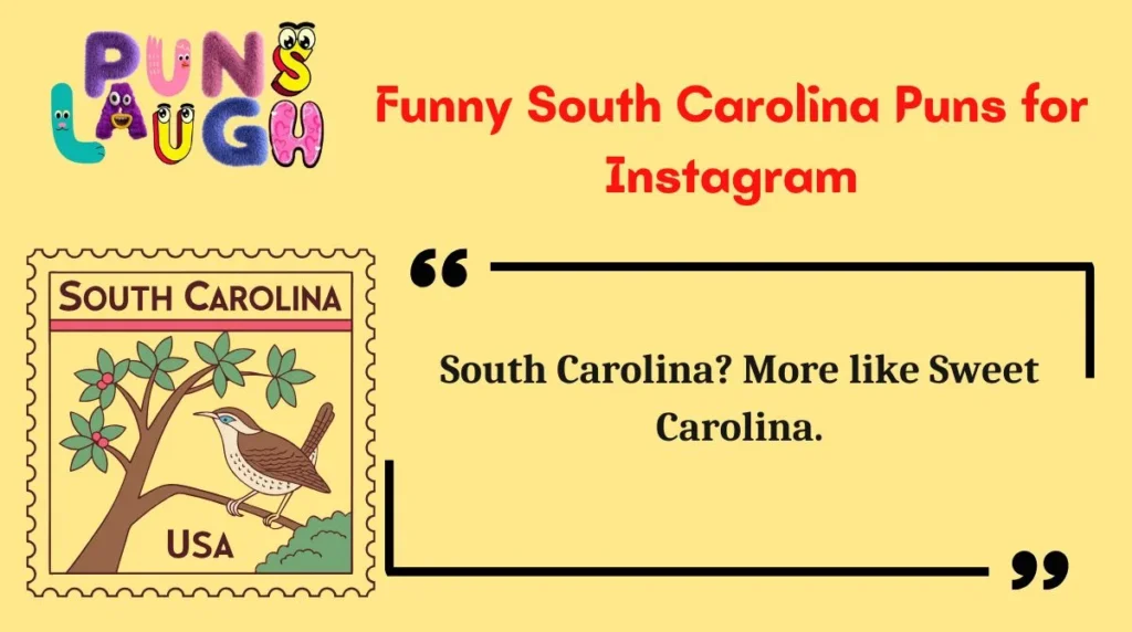 Funny South Carolina Puns for Instagram