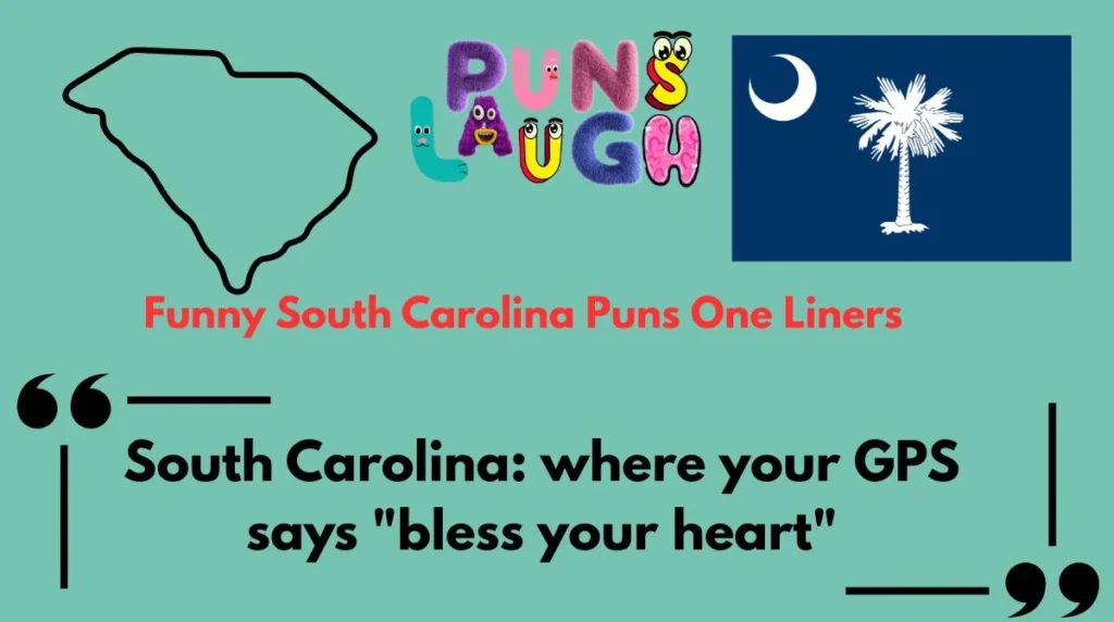 Funny South Carolina Puns One Liners