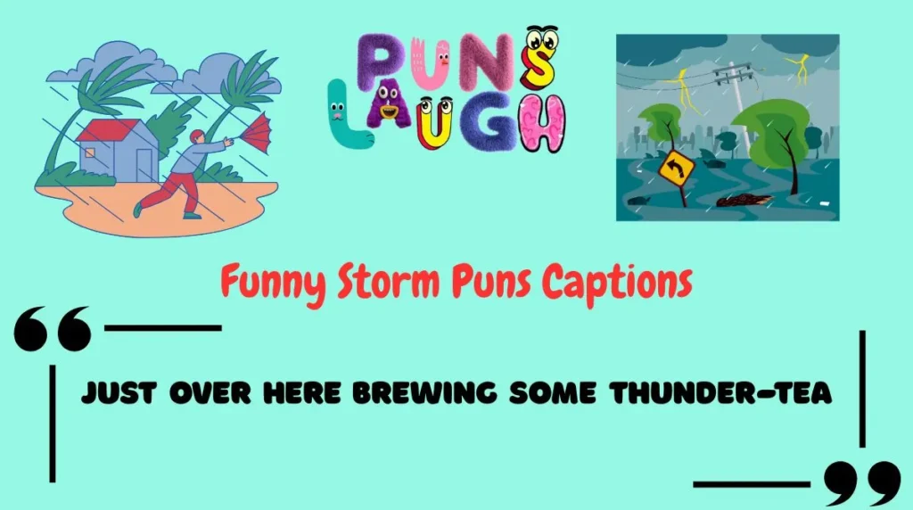 Funny Storm Puns Captions