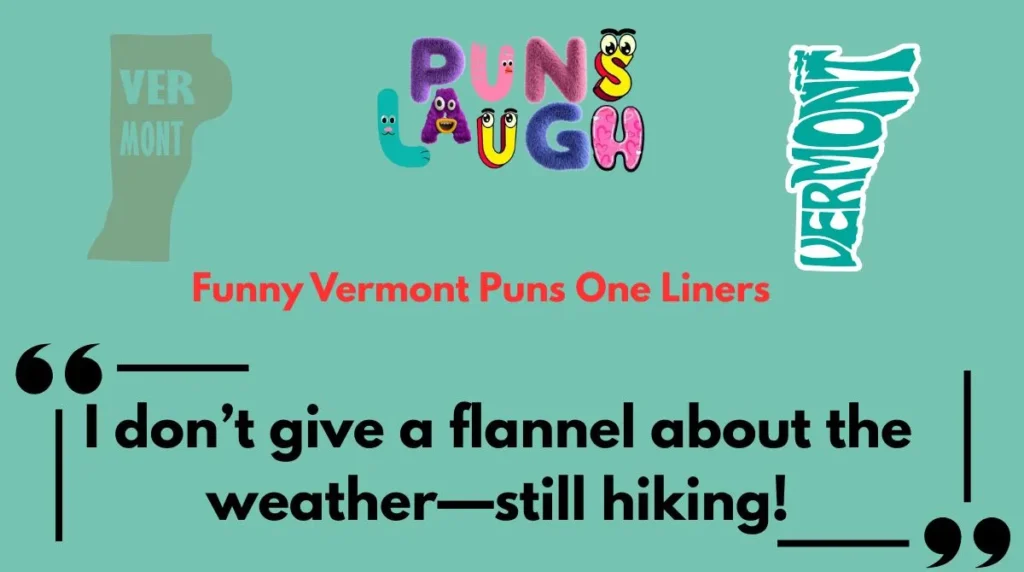 Funny Vermont Puns One Liners