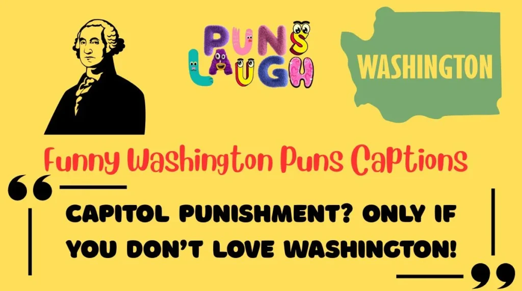 Funny Washington Puns Captions