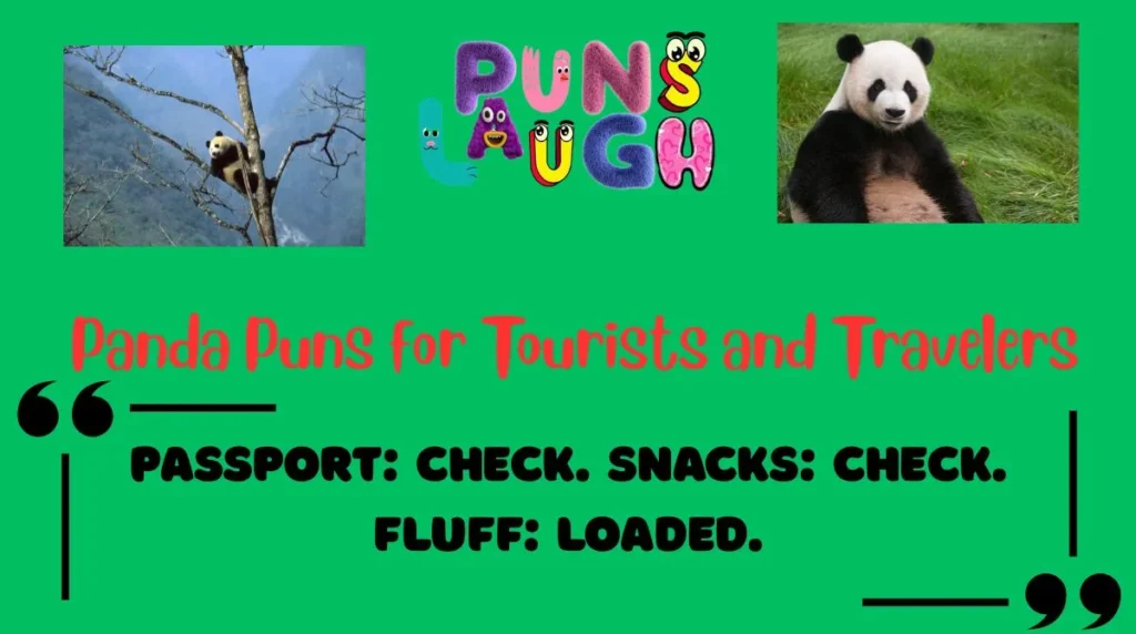 Panda Puns for Tourists and Travelers