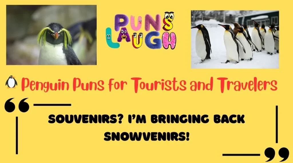 Penguin Puns for Tourists and Travelers