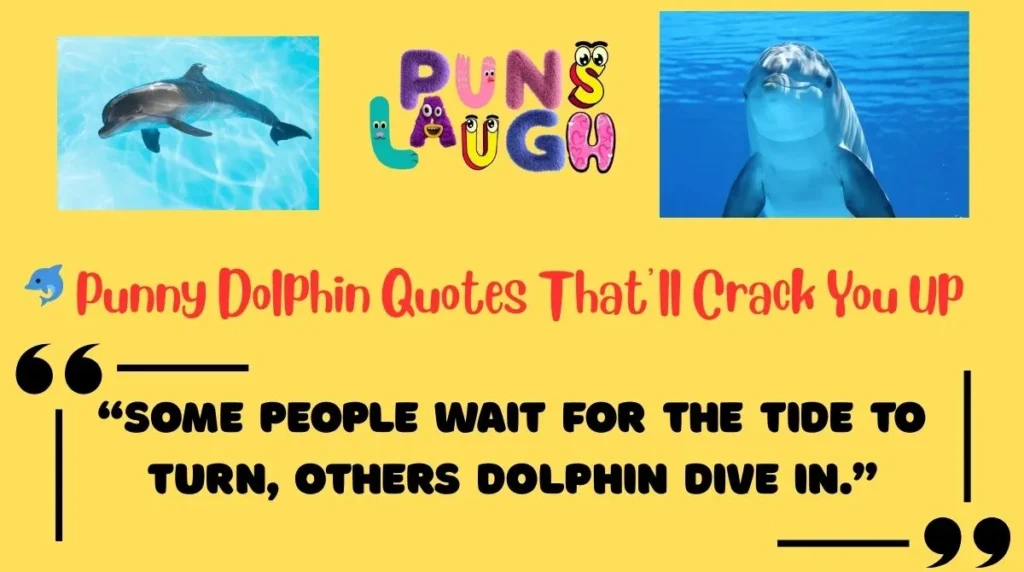 Punny Dolphin Quotes Thatâll Crack You Up
