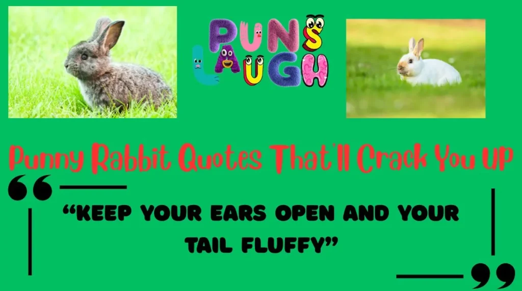 Punny Rabbit Quotes That'll Crack You Up