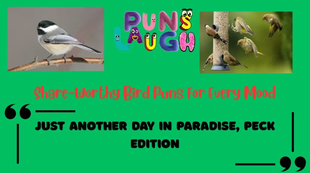 Share-Worthy Bird Puns for Every Mood