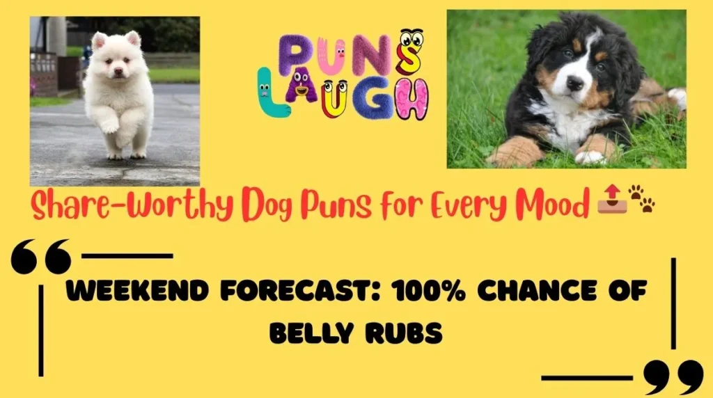 Share-Worthy Dog Puns for Every Mood