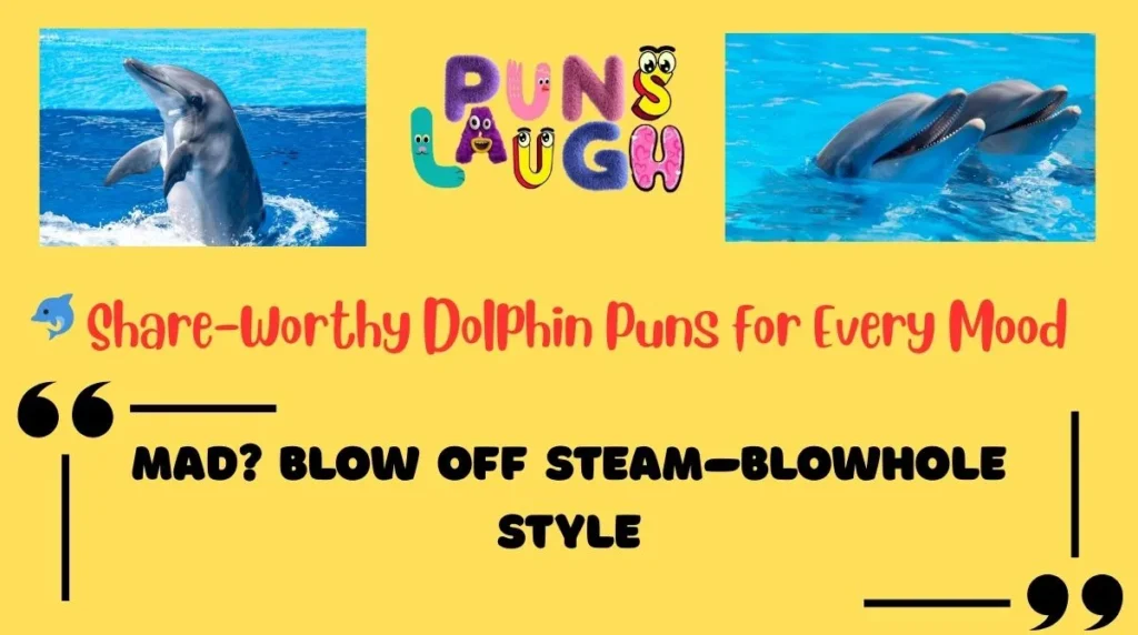Share-Worthy Dolphin Puns for Every Mood