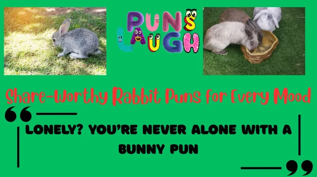 Share-Worthy Rabbit Puns for Every Mood