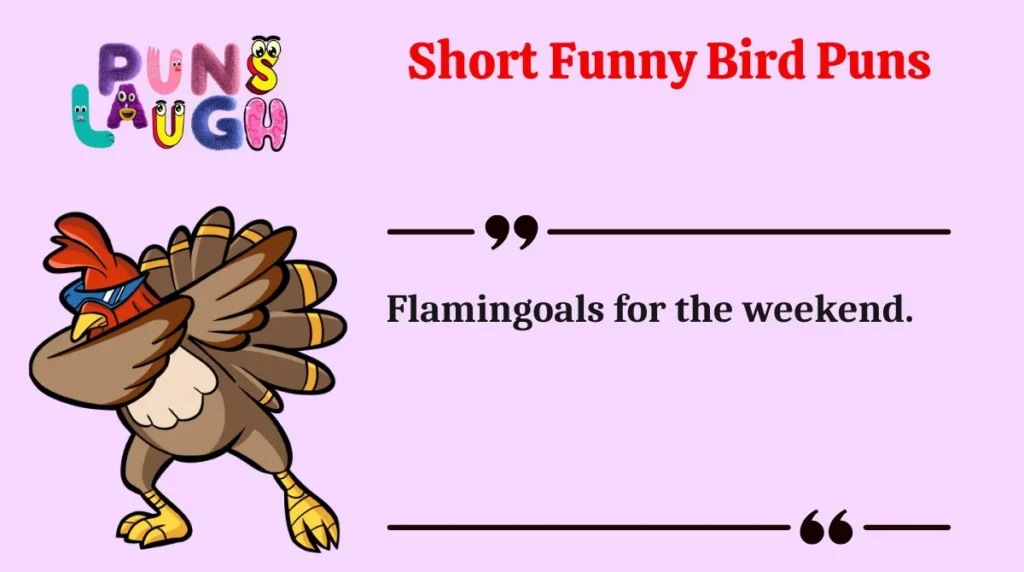 Short Funny Bird Puns