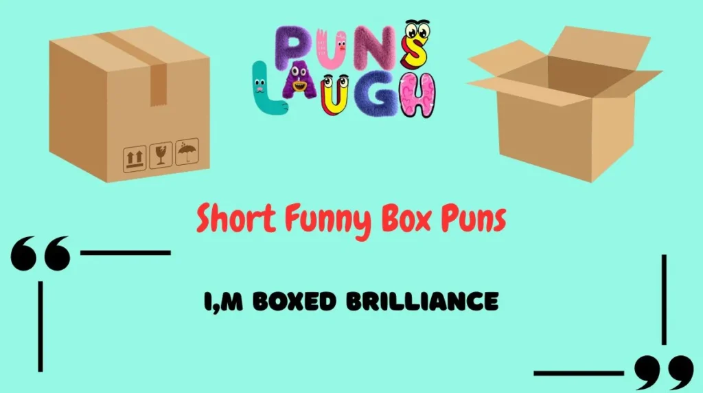 Short Funny Box Puns