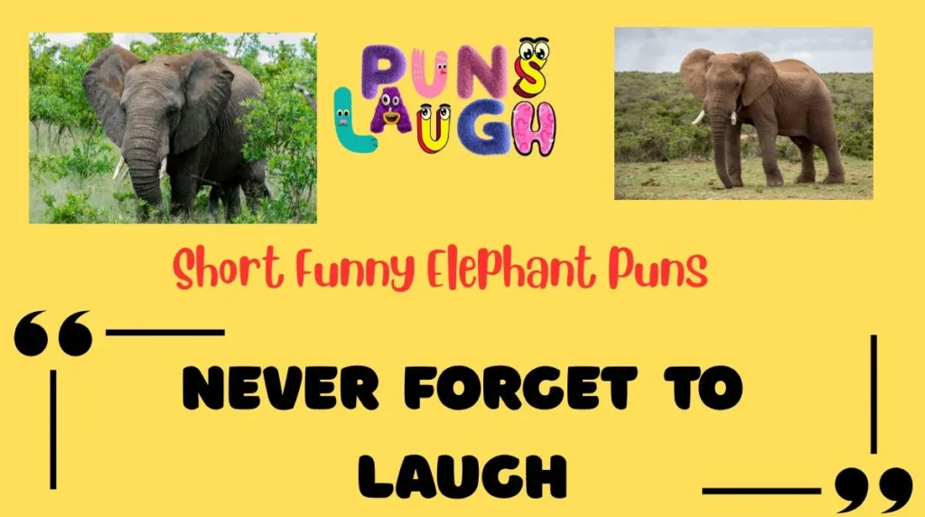 Short Funny Elephant Puns