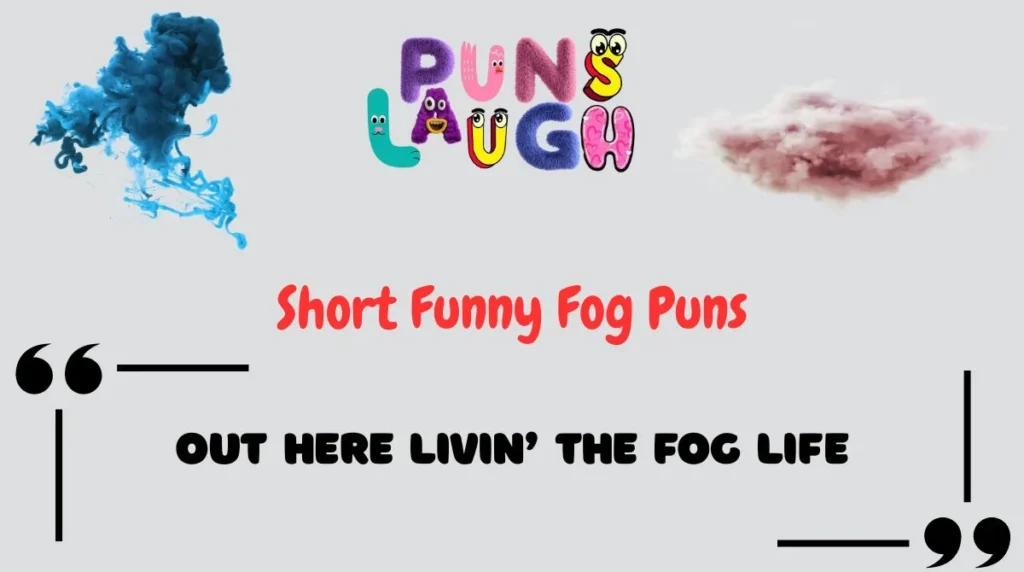 Short Funny Fog Puns