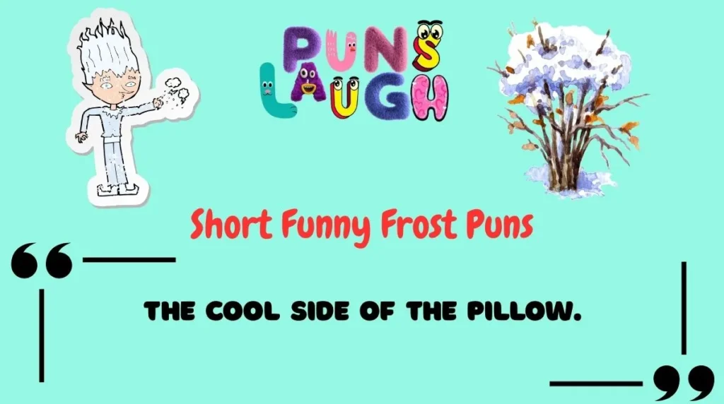 Short Funny Frost Puns