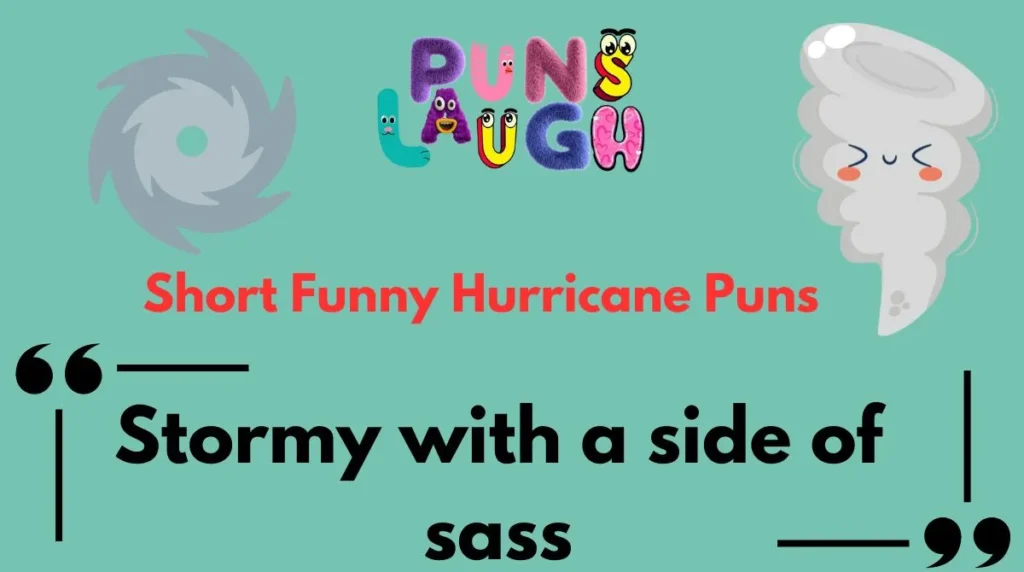 Short Funny Hurricane Puns