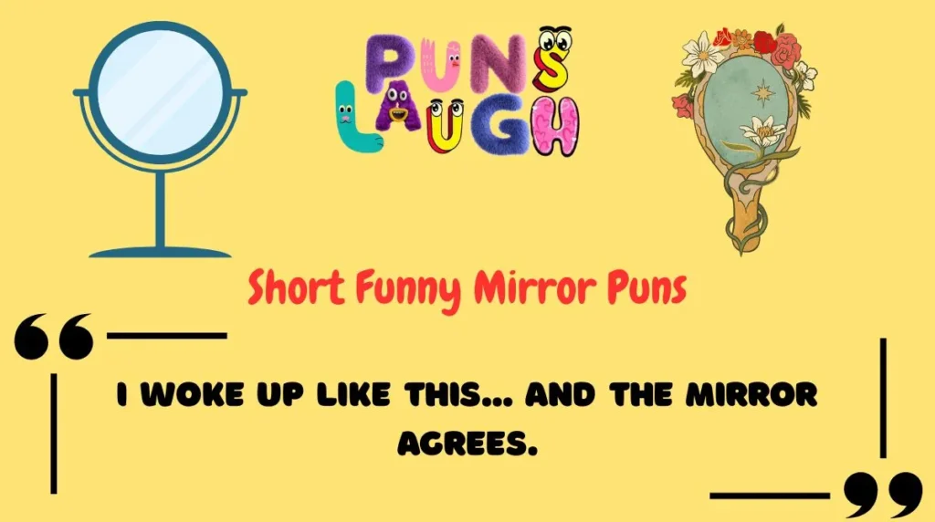 Short Funny Mirror Puns