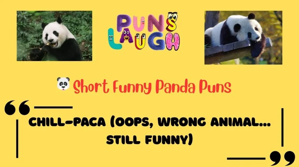 Short Funny Panda Puns