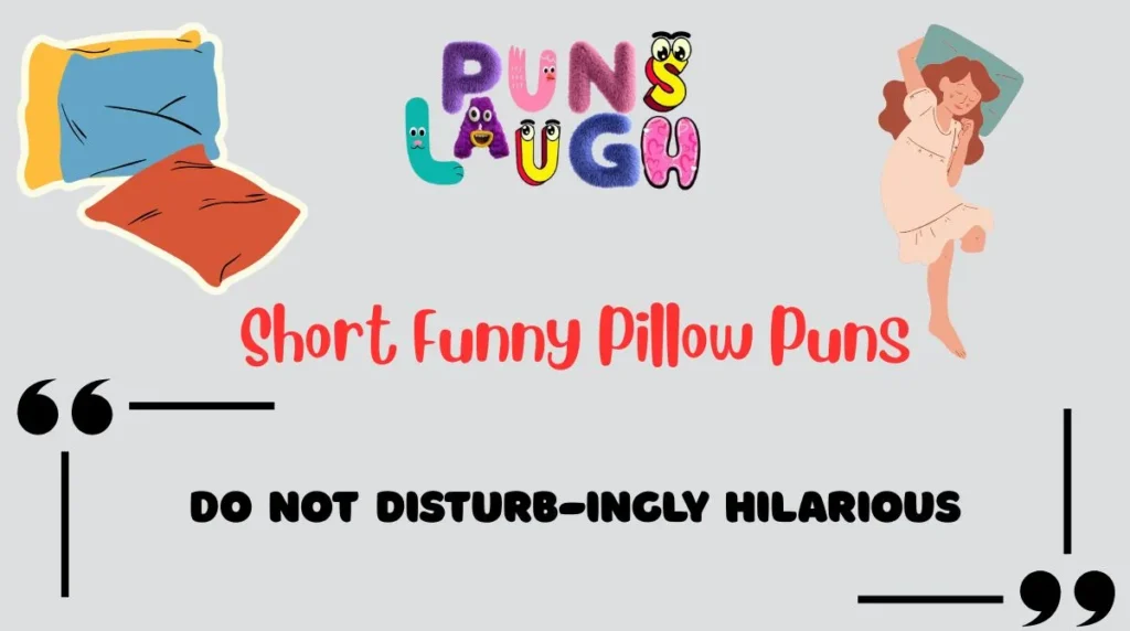 Short Funny Pillow Puns