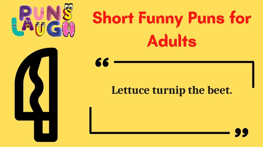 Short Funny Puns for Adults