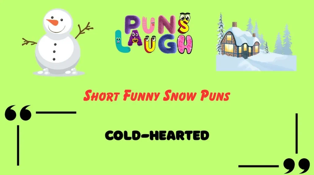 Short Funny Snow Puns